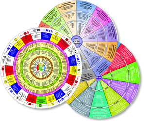 Alpha-Synapsen-Programmierung — Werkzeuge zur Selbsthilfe